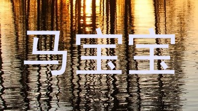 马宝宝