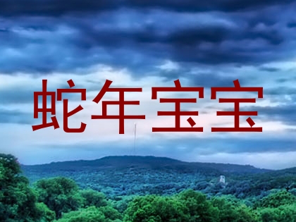 蛇年宝宝