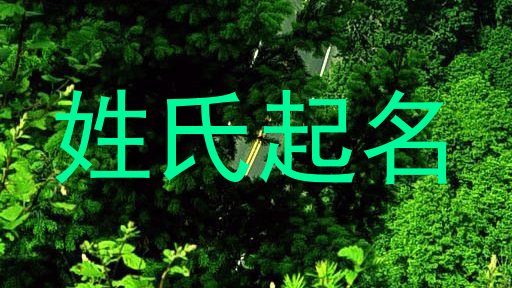 姓氏起名