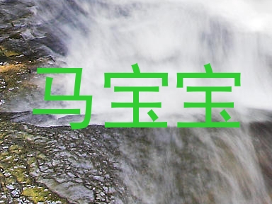 马宝宝
