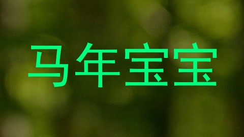 马年宝宝