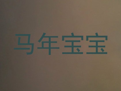 马年宝宝