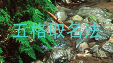 五格取名法