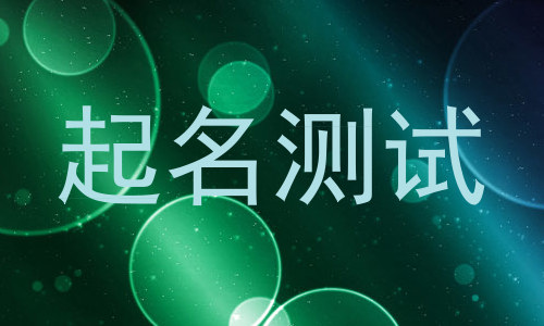 起名测试