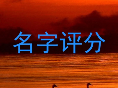 名字评分