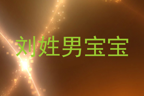 刘姓男宝宝