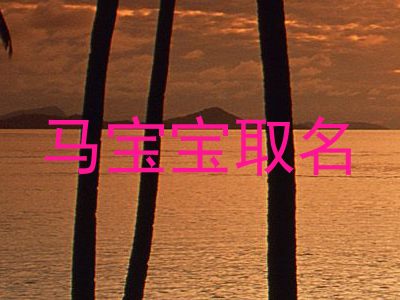 马宝宝取名