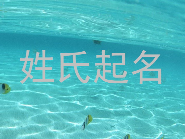 姓氏起名