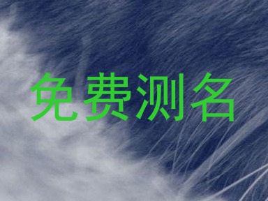 免费测名