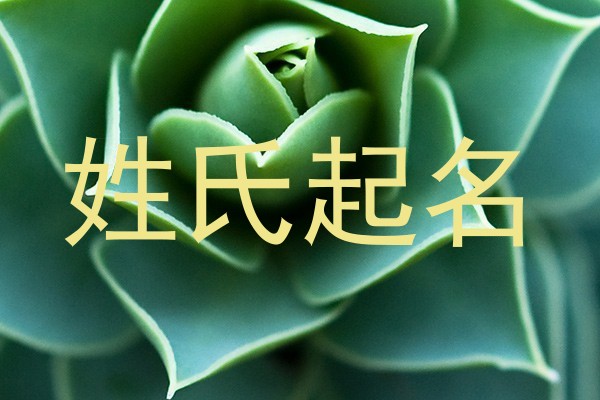 姓氏起名