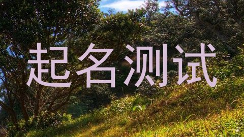起名测试