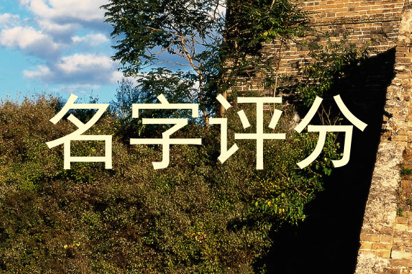 名字评分