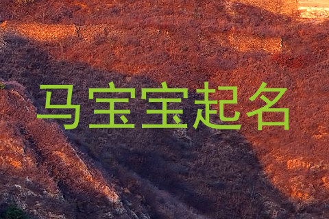 马宝宝起名