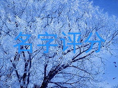 名字评分