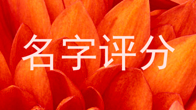 名字评分