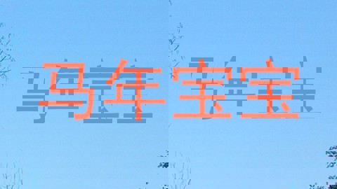 马年宝宝