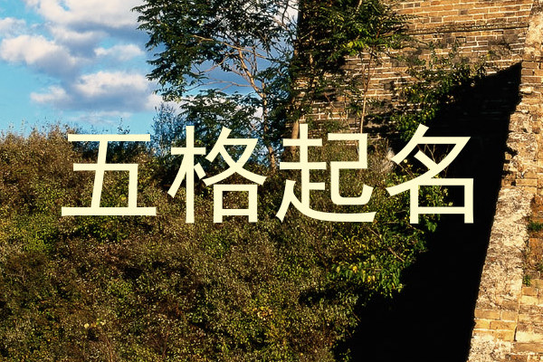 五格起名
