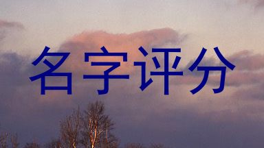 名字评分