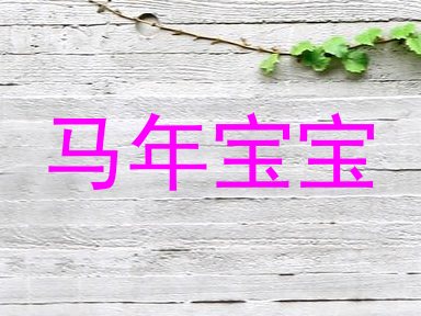 马年宝宝