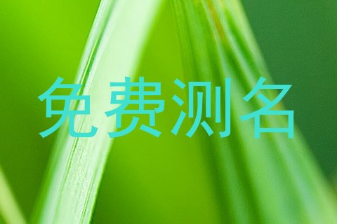 免费测名