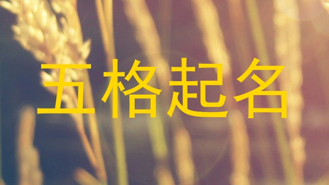五格起名