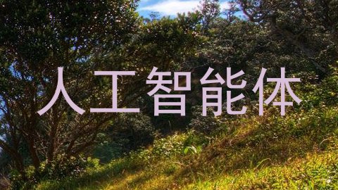人工智能体