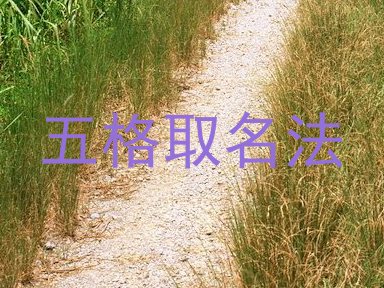 五格取名法
