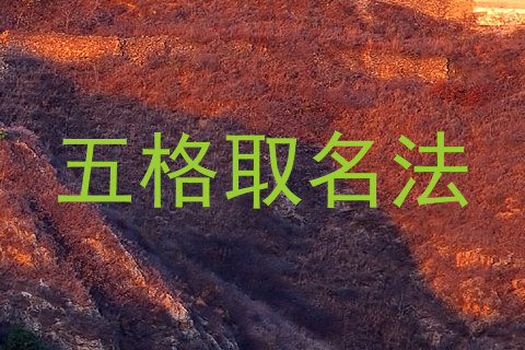 五格取名法