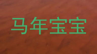 马年宝宝