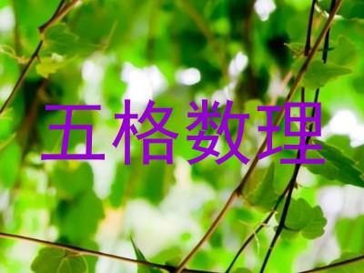 五格数理