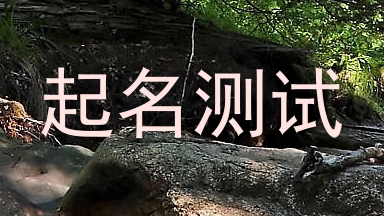起名测试