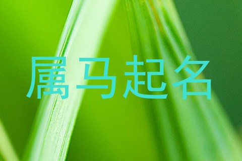 属马起名
