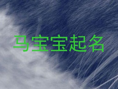 马宝宝起名