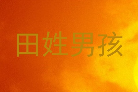 田姓男孩