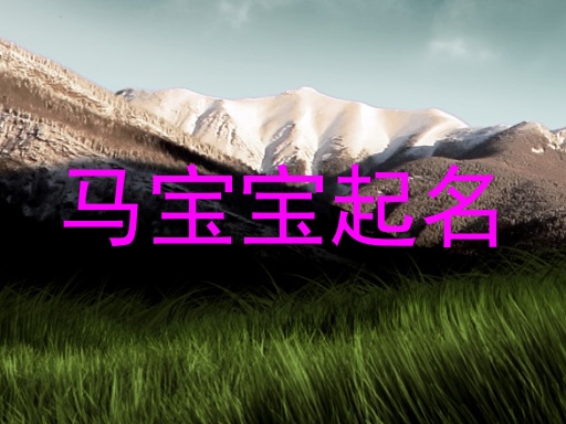 马宝宝起名