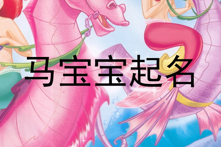 马宝宝起名