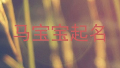 马宝宝起名