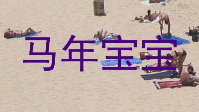 马年宝宝