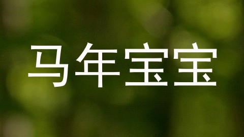 马年宝宝