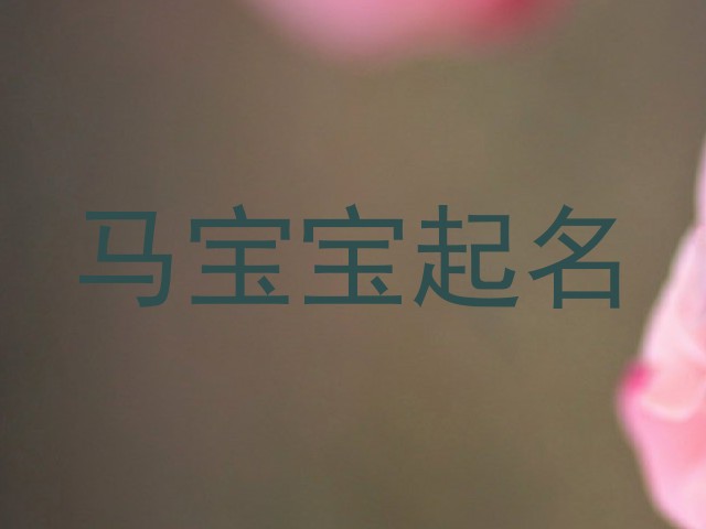 马宝宝起名