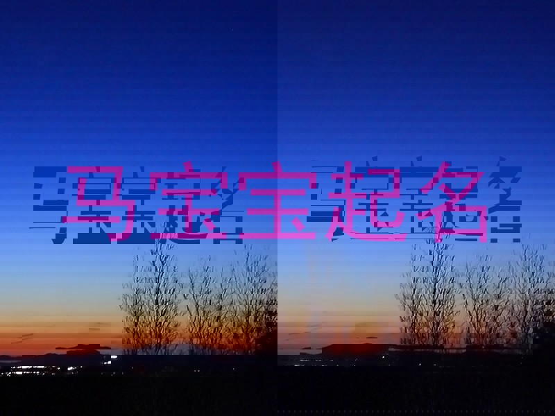 马宝宝起名