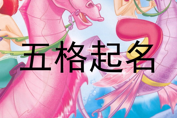 五格起名