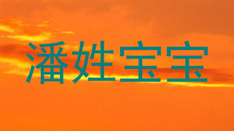 潘姓宝宝