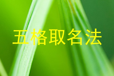 五格取名法