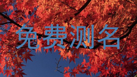 免费测名