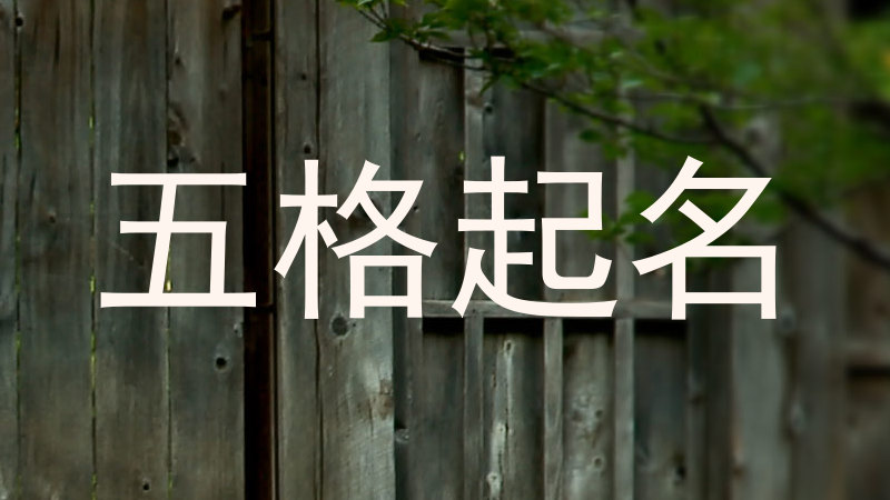 五格起名