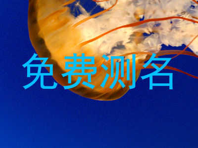 免费测名