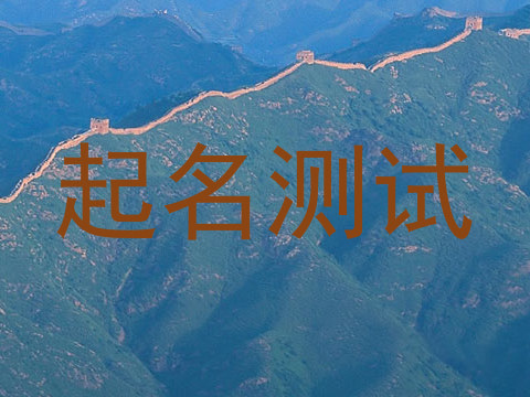起名测试