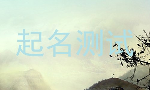 起名测试