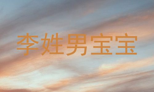 李姓男宝宝